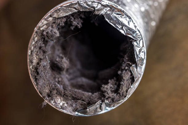 Best Air Duct Cleaning Company Near Me  in Arbuckle, CA
